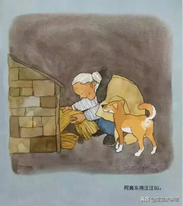 棉婆婆睡不着绘本作者,棉婆婆睡不着绘本解析