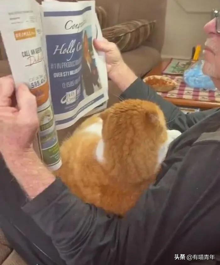 养猫也能治疗癌症?是真的