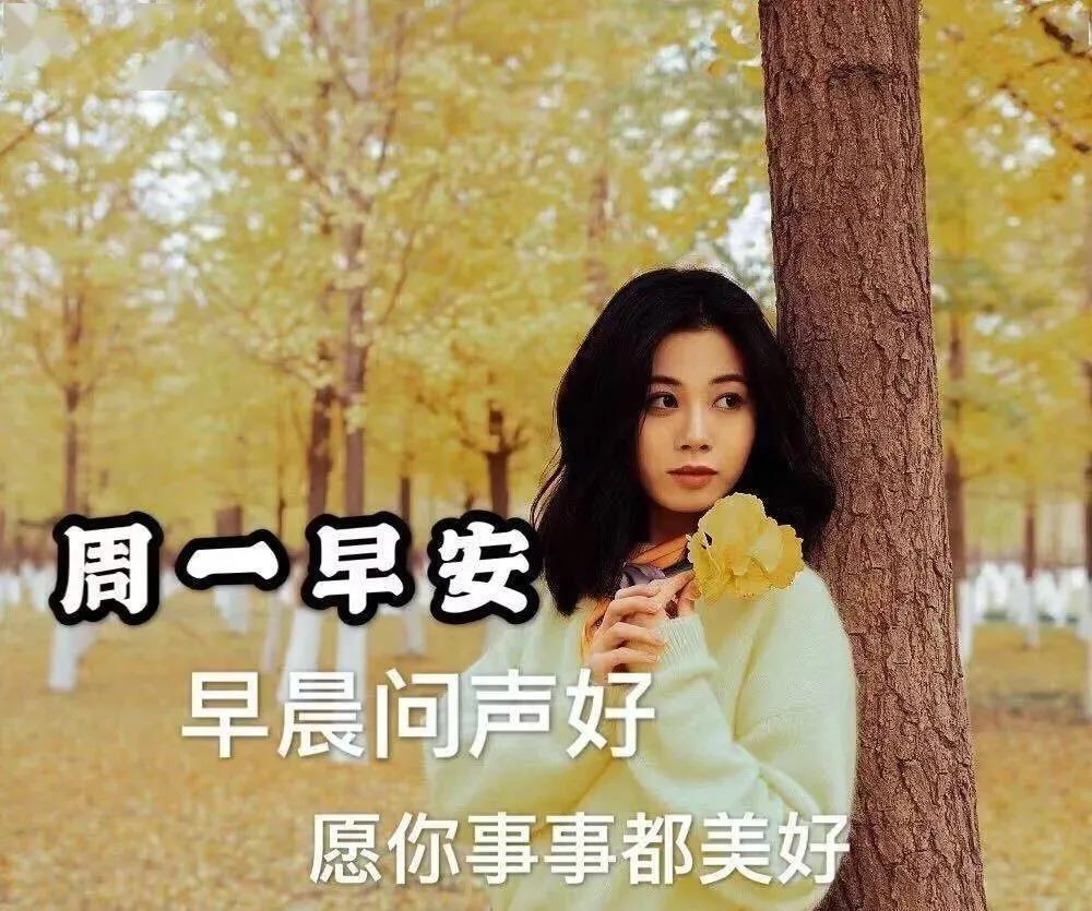 周一早上好祝福问候语最新版多图,周一早上好最新图片问候语