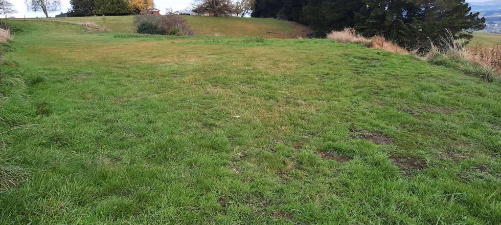 100万人民币在新西兰能买多大房子,100元能在新西兰买些什么