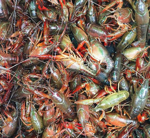 澶у瀷楹︾楸煎拰灏忓瀷楹︾楸肩殑鍖哄埆,甯歌鐨勯害绌楅奔