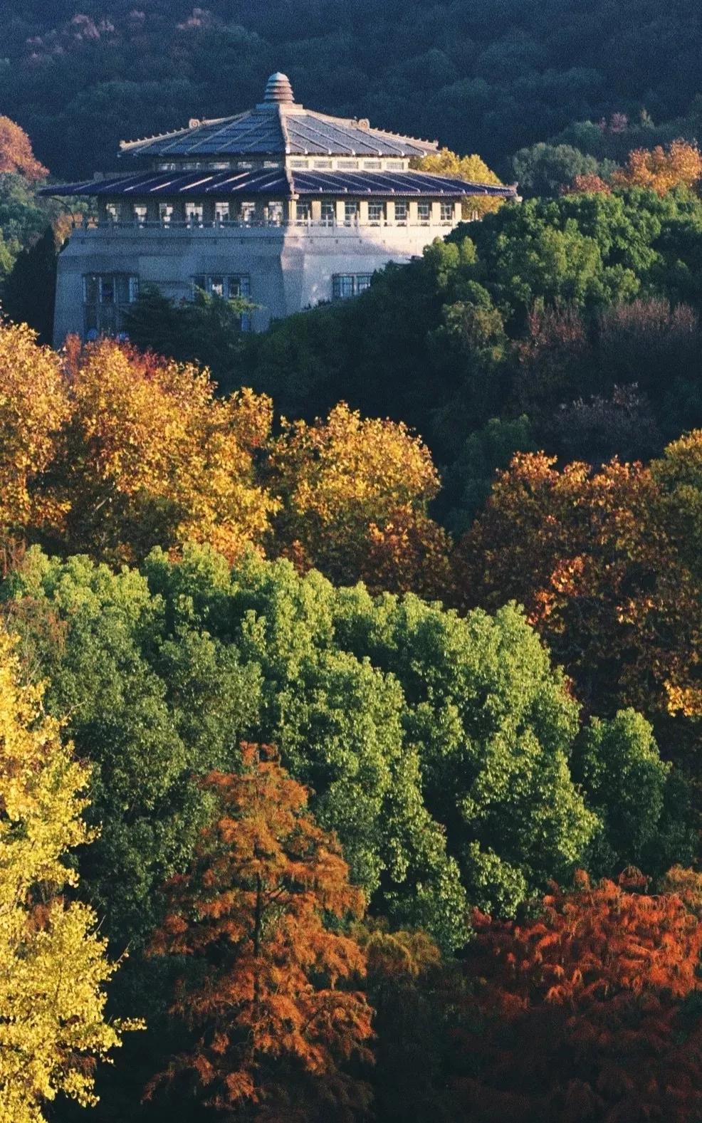 武汉开学震撼画面,夏季的武汉大学风景