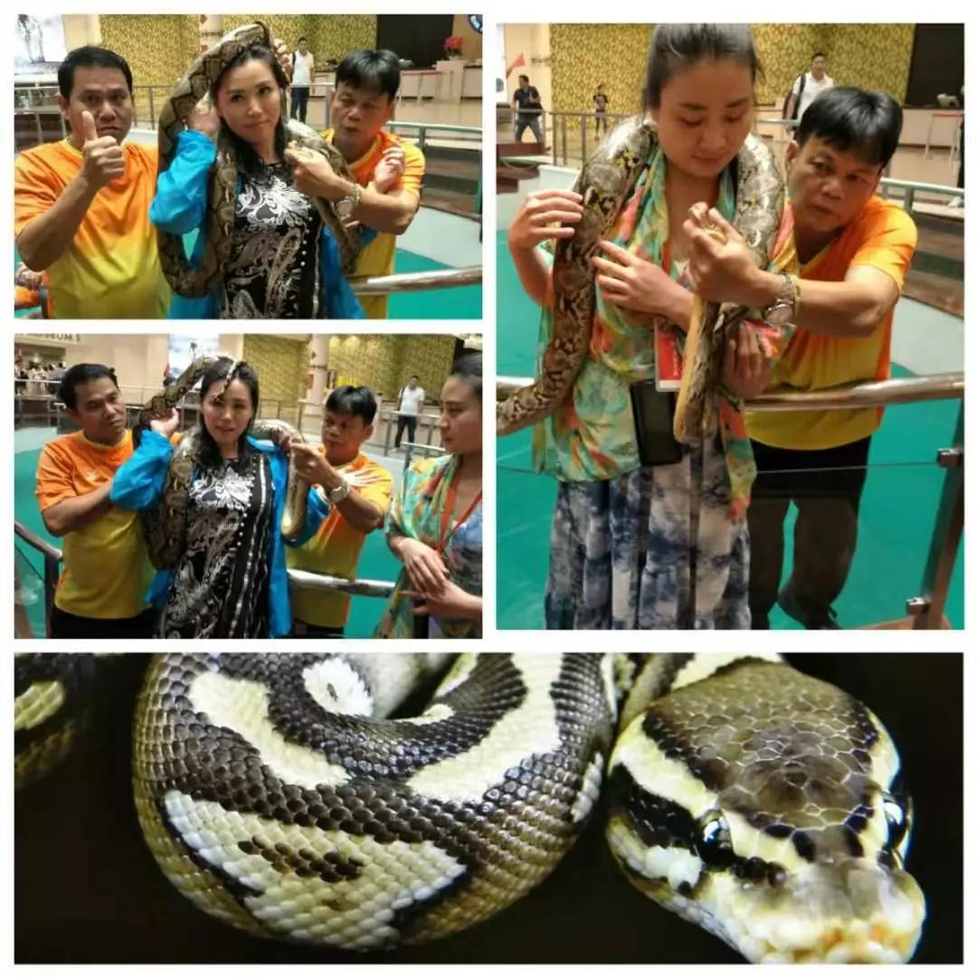 泰国荣耀之旅留下美好记忆丨“董家骨科”纪行