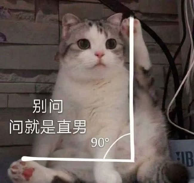 狗子来大姨妈怎么办,狗子姨妈期间如何护理