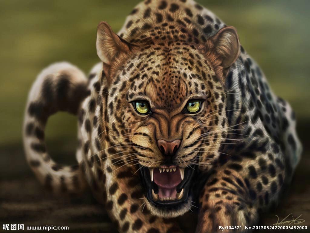 动物野外生病,野生动物生病了该怎么帮它