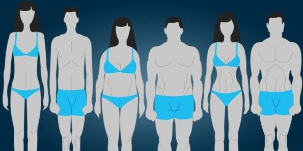 内胚中胚外胚怎么区别,外胚中胚内胚哪个好看