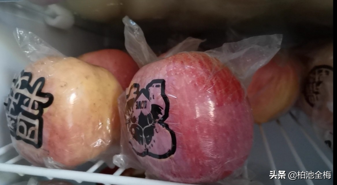 找到了情趣找到了生活