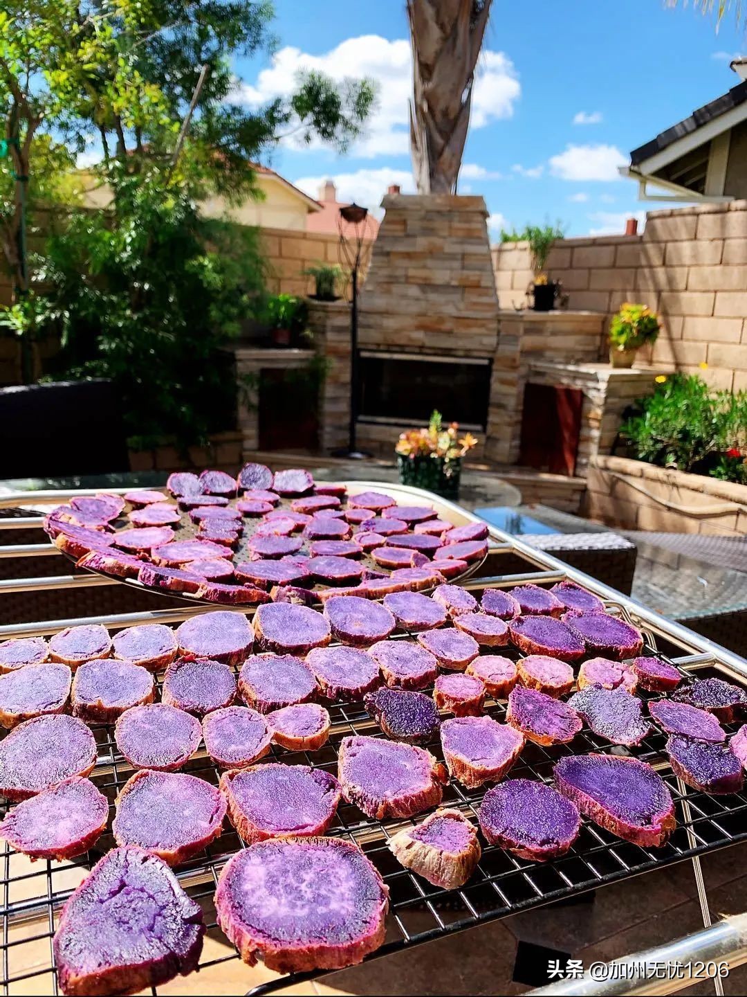 美国确诊超481万,美国确诊病例超115万例