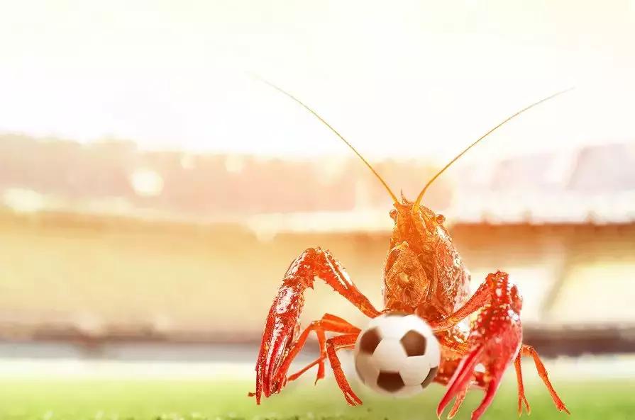 开小龙虾店赔钱,靠卖小龙虾发家致富