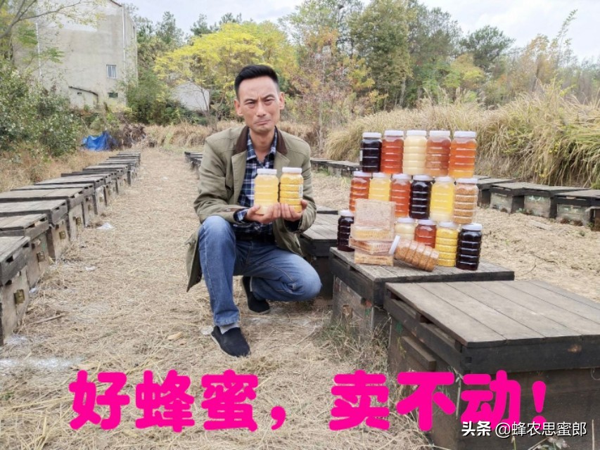 中蜂蜂蜜市场前景分析,蜂蜜行业发展前景及其风险