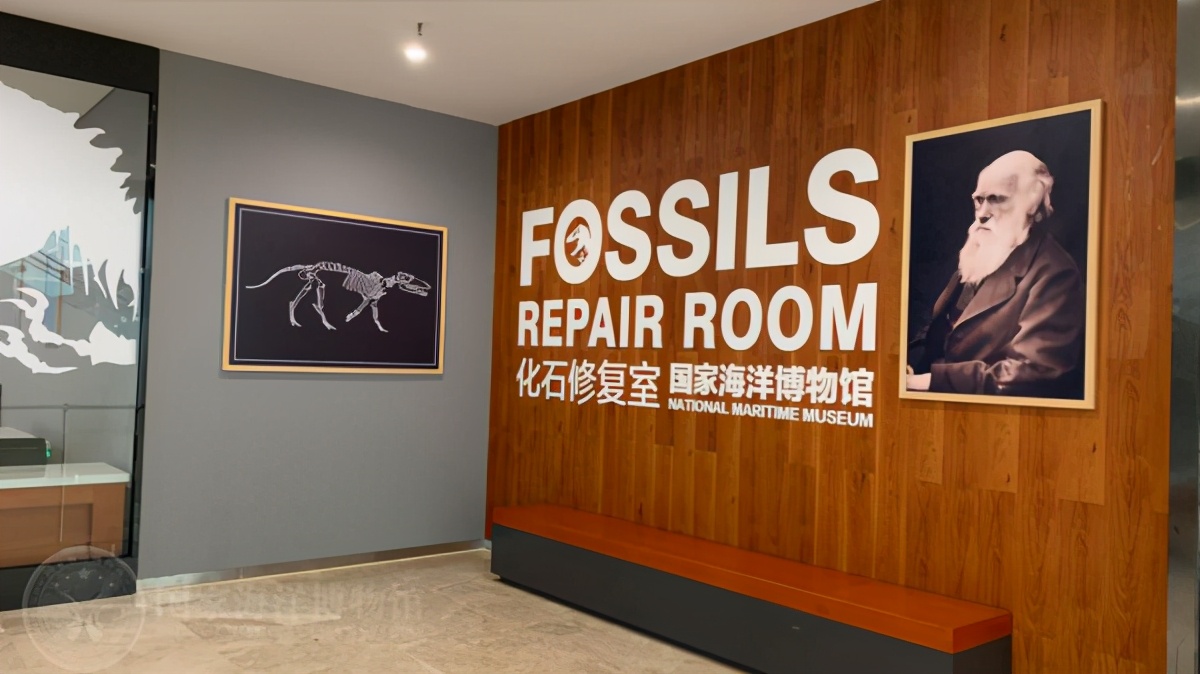 国家海洋博物馆游玩需要多久,天津生态城国家海洋博物馆