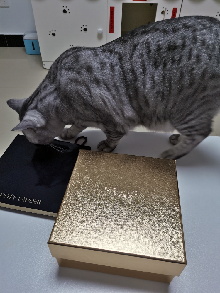 雅诗兰黛小棕瓶紧致精华,雅诗兰黛小棕瓶肌透修护眼部精华