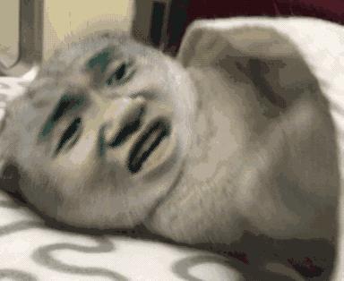 猫咪生病不吃东西只喝水怎么办,猫咪铲屎官的5种表现