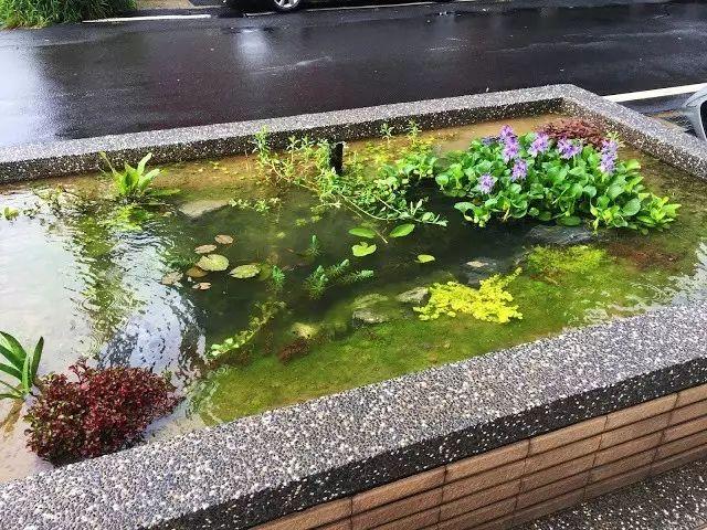 鱼池如何改造成花池,花池改鱼池如何做过滤