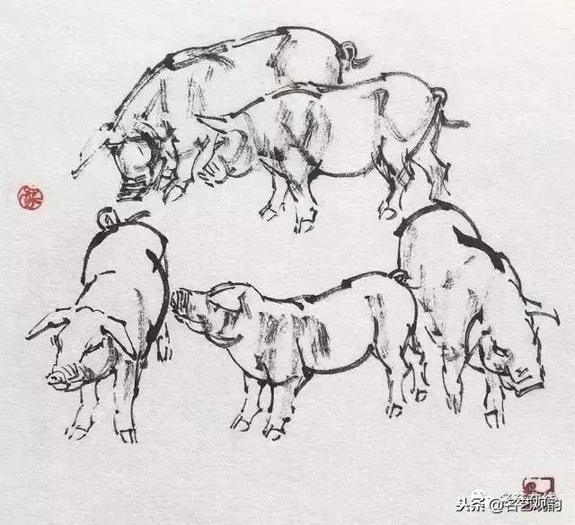 小朋友画猪简单又好看,猪年画猪中国画