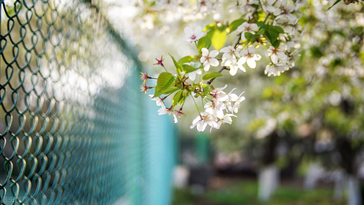 文案大全3000条模板,150000条爆款文案素材简短