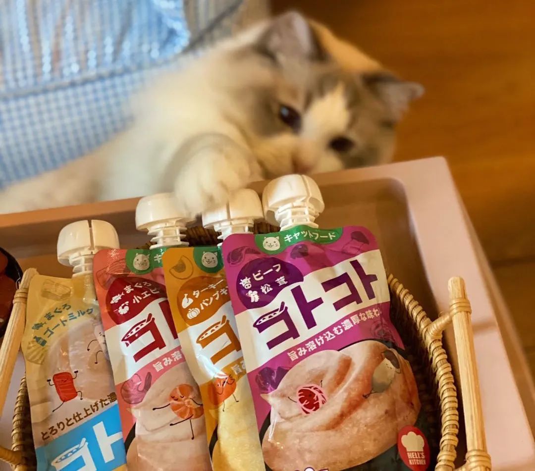 什么猫零食安全,有什么好的猫零食推荐