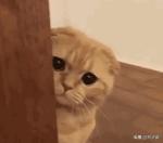 第一次使用卫生棉条感觉有点干燥,第一次用卫生棉条要注意什么