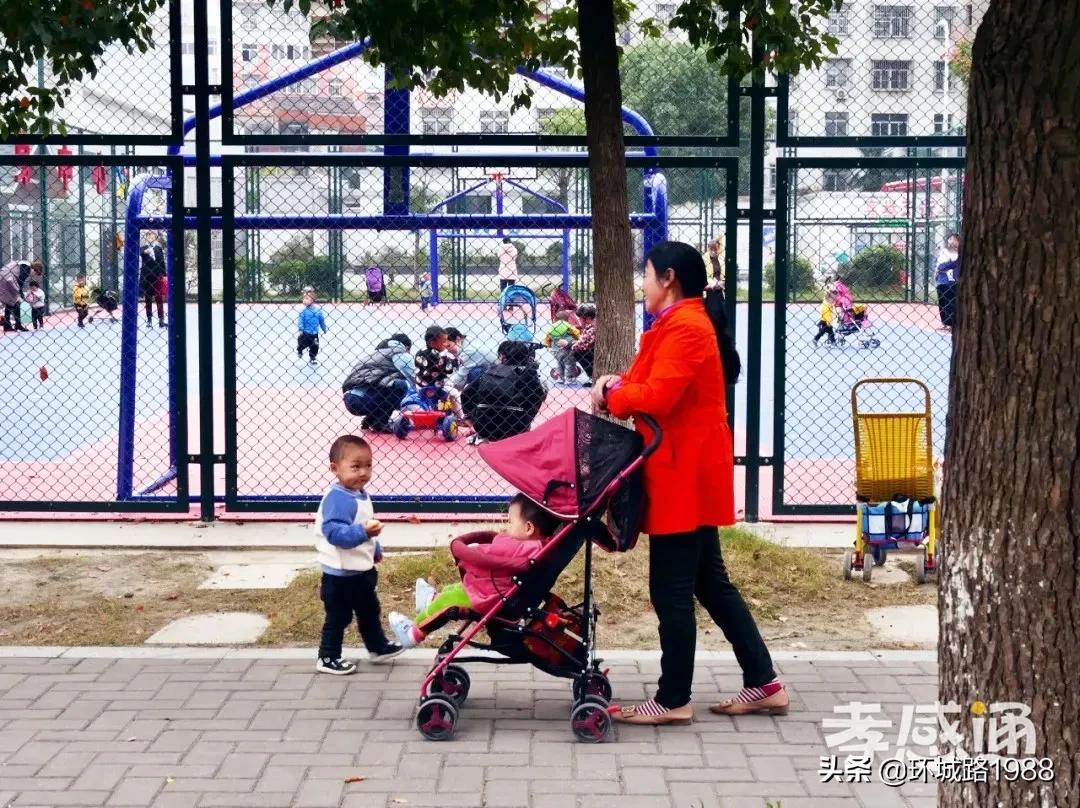 未来可期！向你展现不一样的毛陈