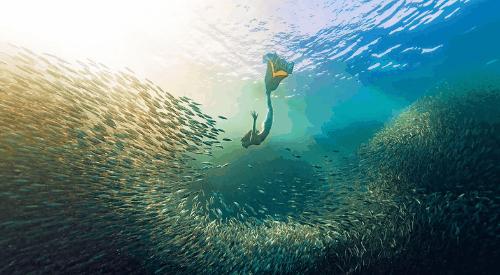 在死海沉浮，探秘无人岛，真正的航海生活比书里精彩一百倍