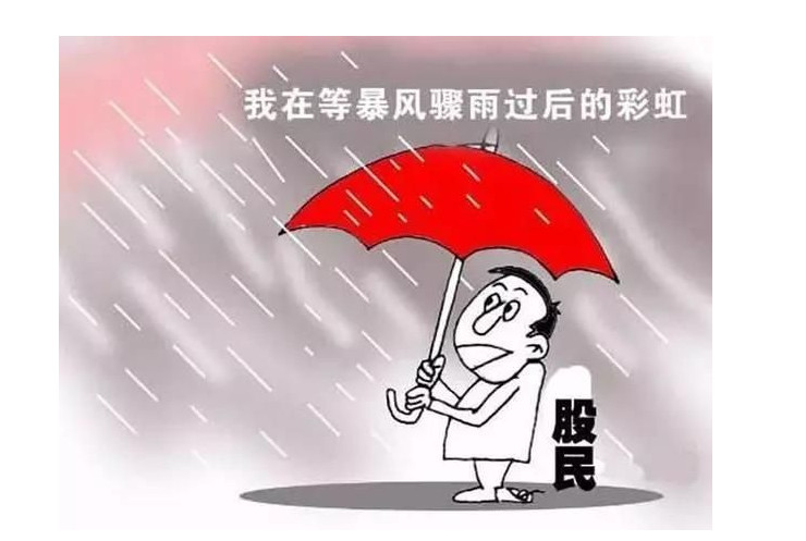 深度解密中国股市的各种庄家,中国股市历史庄股事件