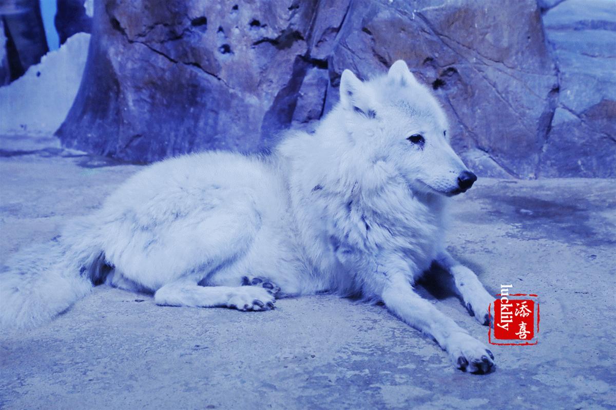 高铁出游攻略江浙沪,高铁直达的周末游