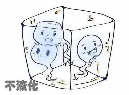 精子异常是怎么回事,精子异常是如何导致