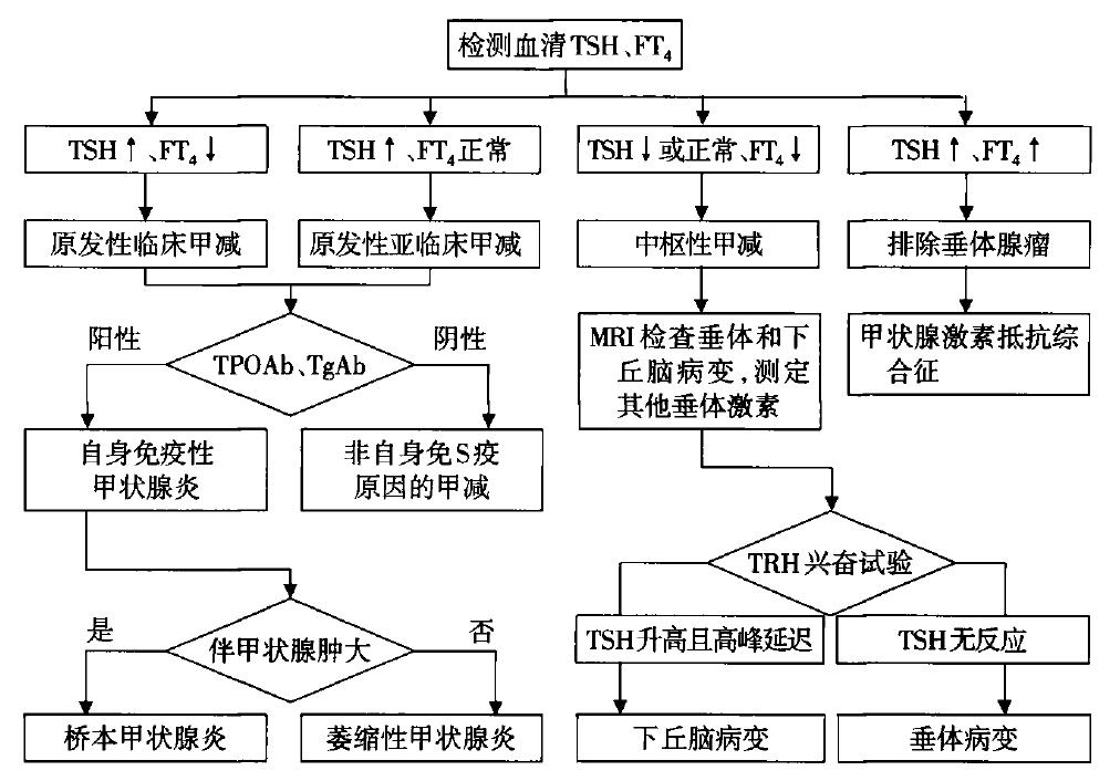 提升基层超声诊断水平,提高甲状腺功能的最好方法