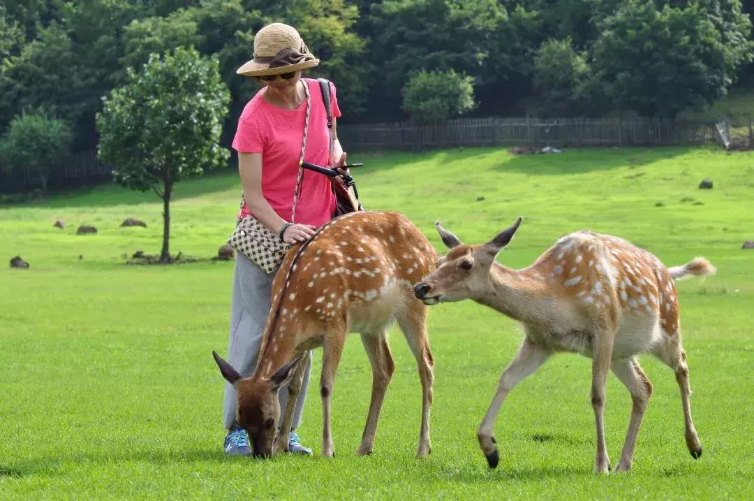 几个闺蜜自驾游的视频,一群闺蜜旅行视频