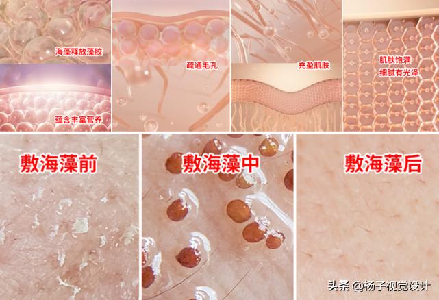 海藻籽面膜的功效与作用机理,什么品牌的海藻面膜好?(配图)