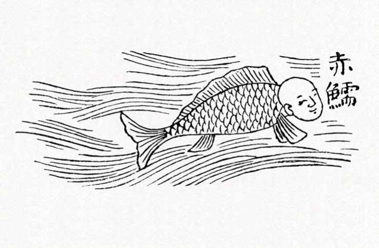 你以为人鱼都美的惊心动魄？那你是没有见过丑的！