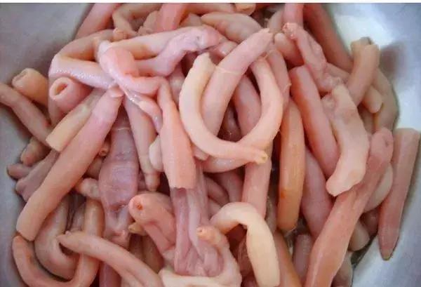 威海海鲜海肠,威海的海鲜有哪些品种