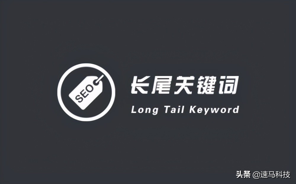 seo站群怎么去优化蜘蛛池,站群优化教程