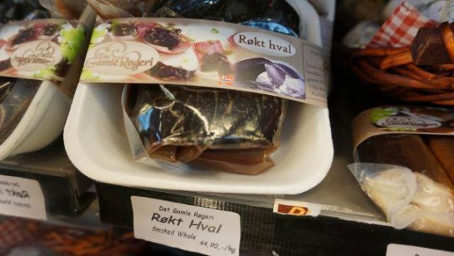 吃鲸肉,吃鲸肉海洋动物