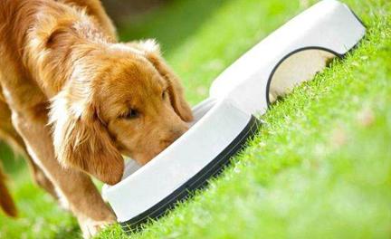 狗粮所有品牌全价,狗粮各种品牌