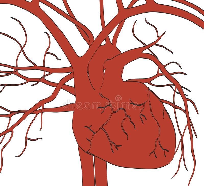 高血压与低血压哪个危害更大,高血压和低血压哪个危险一点