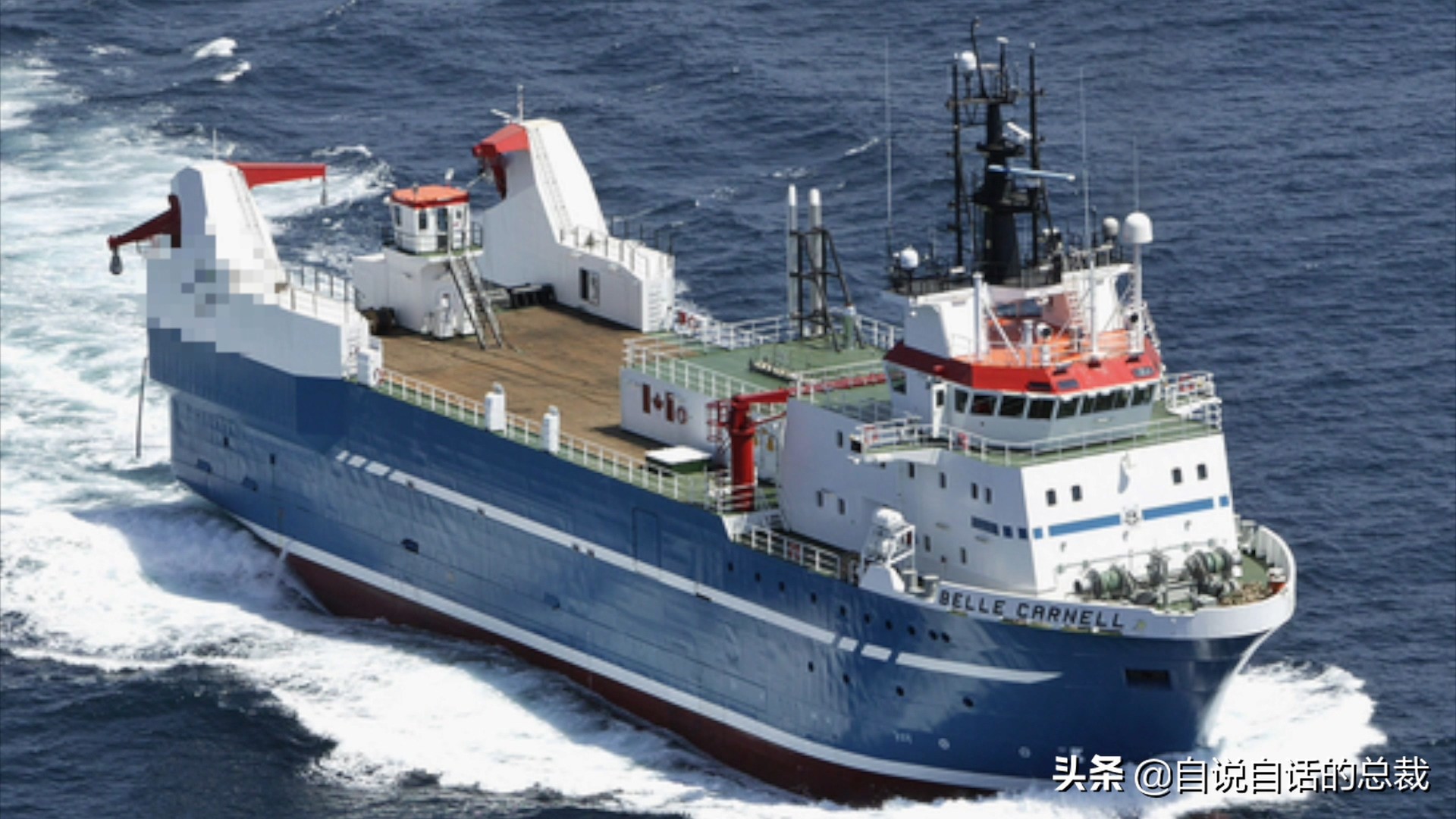 蛤、蚶、蛏、蚝、蚬有什么区别？这是一群美味海怪与人类的故事