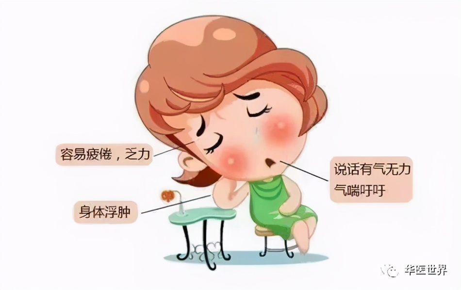 秦伯未中医学习资料,秦伯未医术