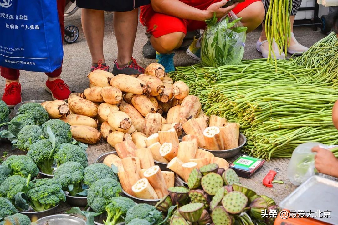 带你逛北京最大早市,北京正宗早市推荐