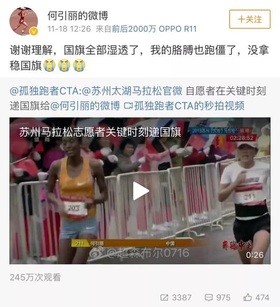 马拉松丢旗,马拉松披国旗事件