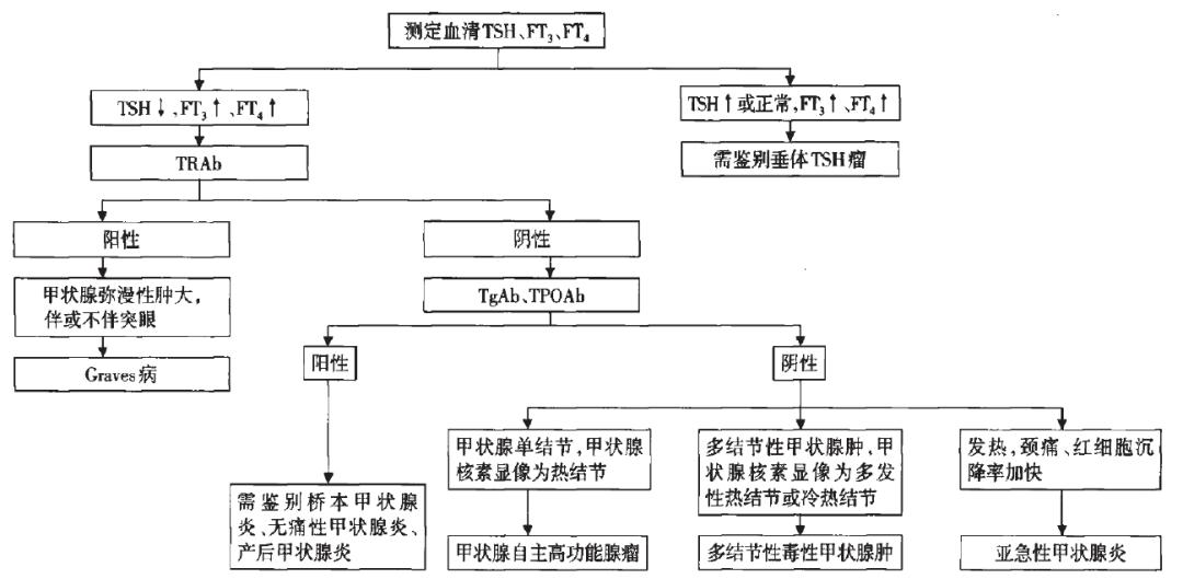 提升基层超声诊断水平,提高甲状腺功能的最好方法