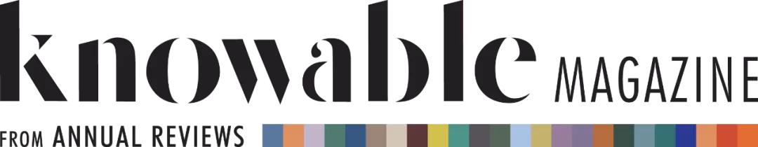 老年人吃的药太多了怎么办,老年人药吃多了胃难受怎么办