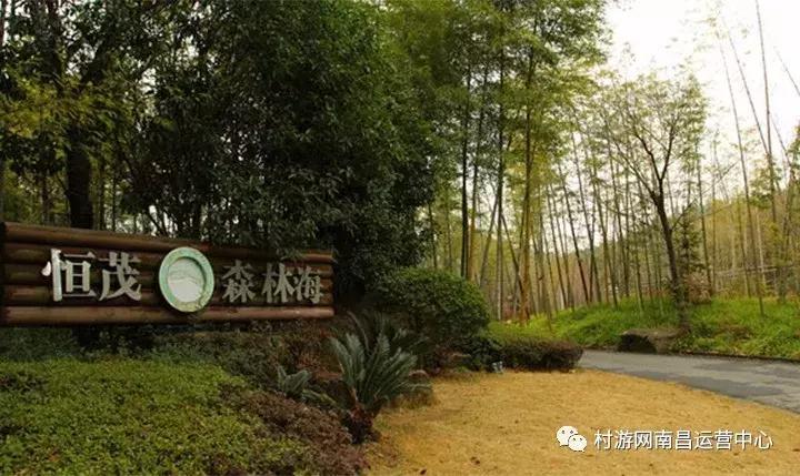 南昌现代庄园别墅,滨江庄园南昌