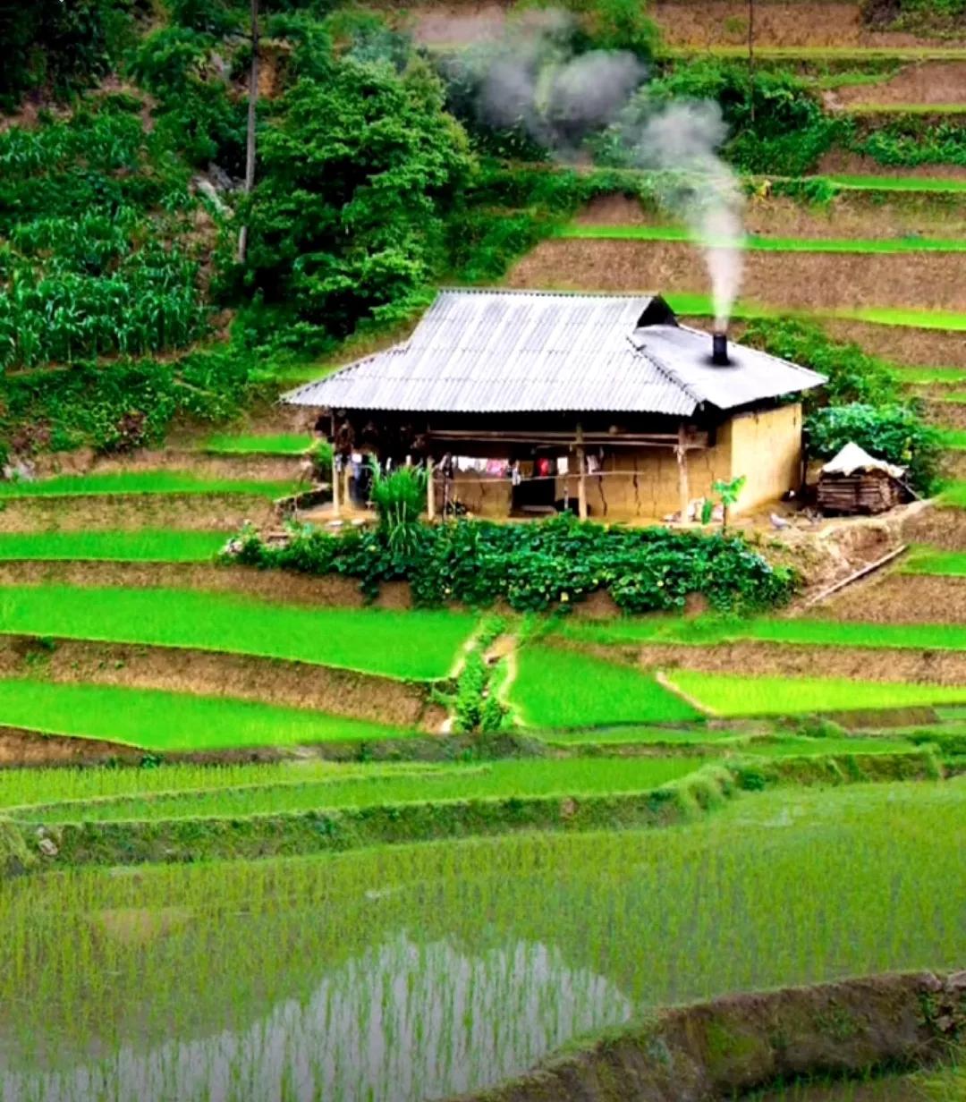 初学者怎么选择自己创作方向,新手如何选择创作方向