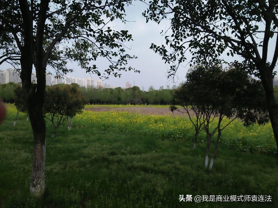 合气道有招式吗,合气道发力