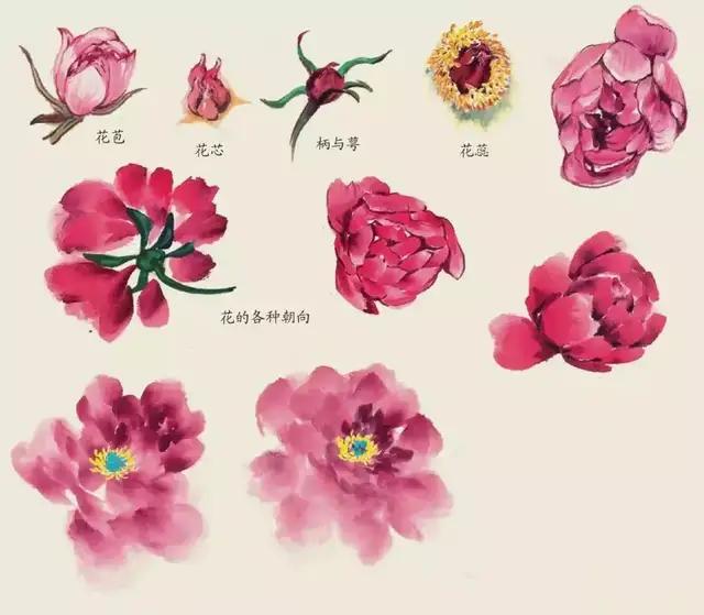 画国画不会画素描,画国画不会山石皴法