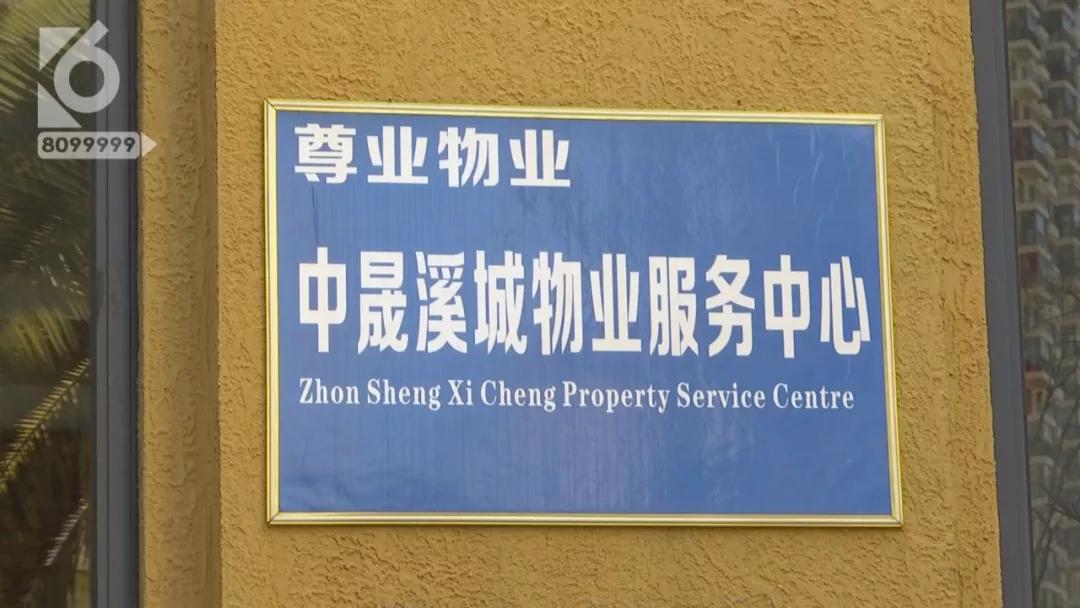 “一个火一样的东西落下来”，张女士的“*萨特帕**”被炸通了