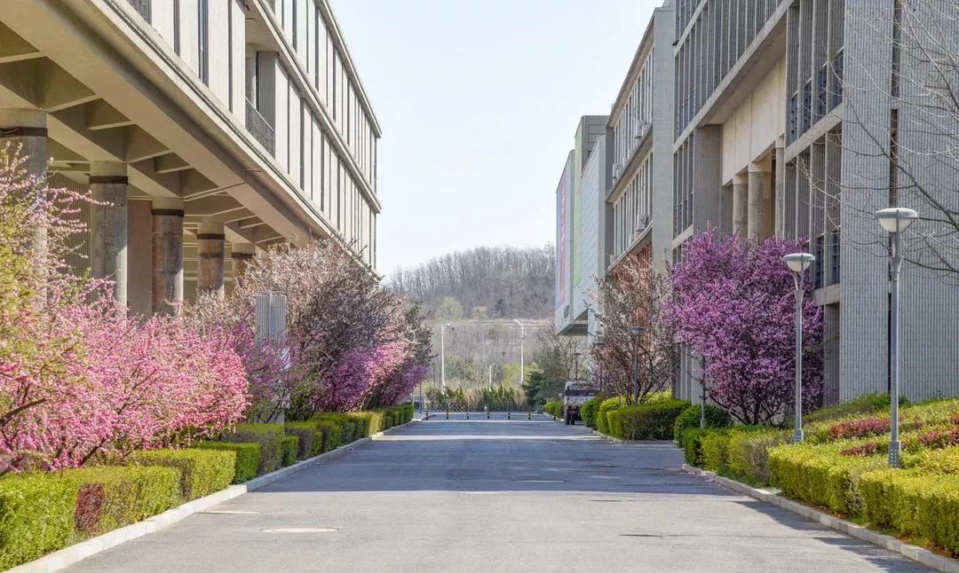 辽宁大学和鲁迅美术学院,辽宁省鲁迅美术学院是985吗