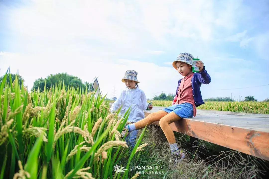 这处距上海1h的这个江南水乡，才是承载都市人田园梦的“理想村”