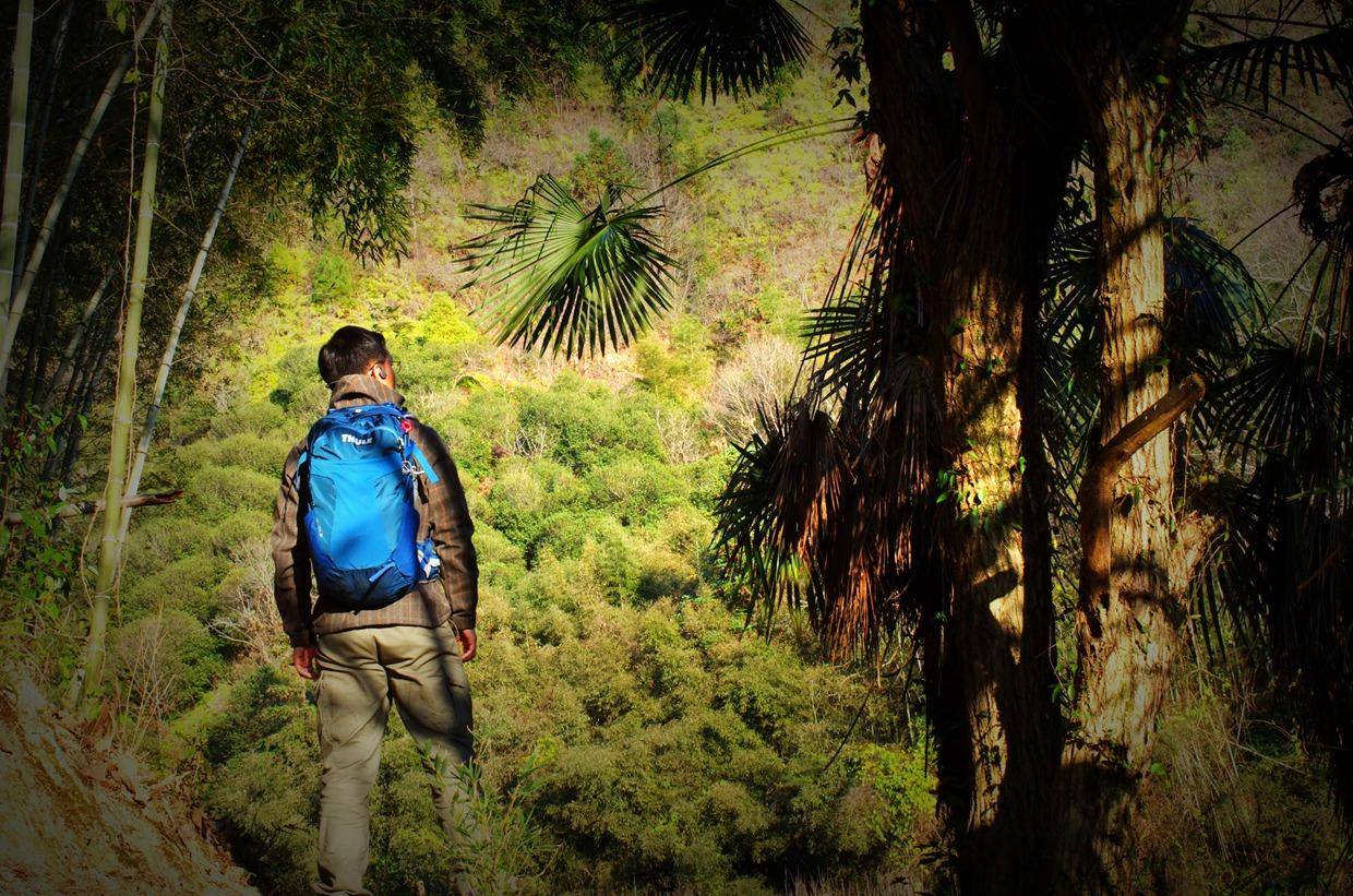 旅游/短线背包怎么选—拓乐ThuleCapstone22L背包体验记